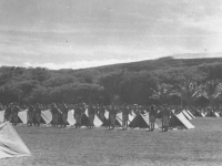 Field Inspection, 1939.  [Courtesy of Mike Harada]