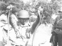 Snakes near camp- non poisoness. [Courtesy of Dorothy Ibaraki]