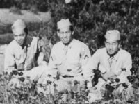 April 4, 1943 at _ Park, New Orleans, La, when we went out on a a weekned pass prior to coming out on maneuvers.  Extreme left is Tahachi Hirayama, Richard M. Yamada and myself.  The camera wasn't focused right, thus the blue flowers in the foreground is of poppies.  [Courtesy of Jan Nadamoto]