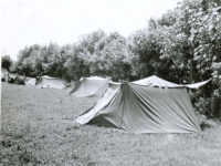 Reserve area tents. [Courtesy of Carol Inafuku]