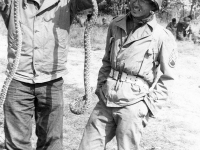 Catching snakes at Camp McCoy, summer 1942. [Courtesy of Janice Uchida Sakoda]