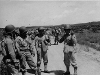 Soldiers in a training exercise find a snake [Courtesy of Ukichi Wozumi]