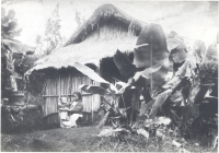 Mother and child outside their home in Hilo, Hawaii.  The roof is made from pili grass and sugar can leaves and the frame is made from bamboo, late 1800s [Hawaii State Archives]