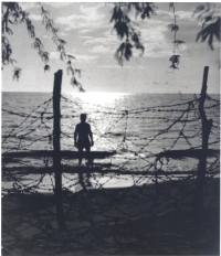 Barbed wire covers a Hawaiian beach after the bombing of Pearl Harbor, 1942. [Courtesy of Ruth Oian Pratt, Bishop Museum]