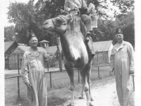 Yozo Yamamoto and a friend ride a Shriner’s camel [Courtesy of Sandy Erlandson]